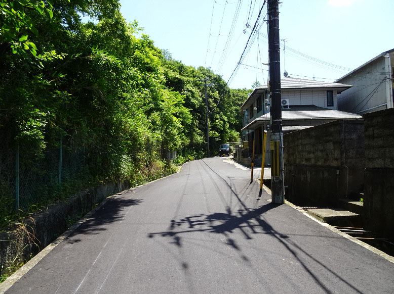⼤阪府泉南郡岬町 ⼭林